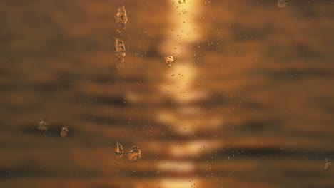 raindrop on windows, with a sunset view on the river blur background