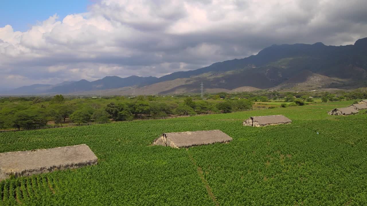 도미니카 공화국의 담배 밭을 드론으로 촬영하면 큐레이터 집과 풍경을 볼 수 있습니다.