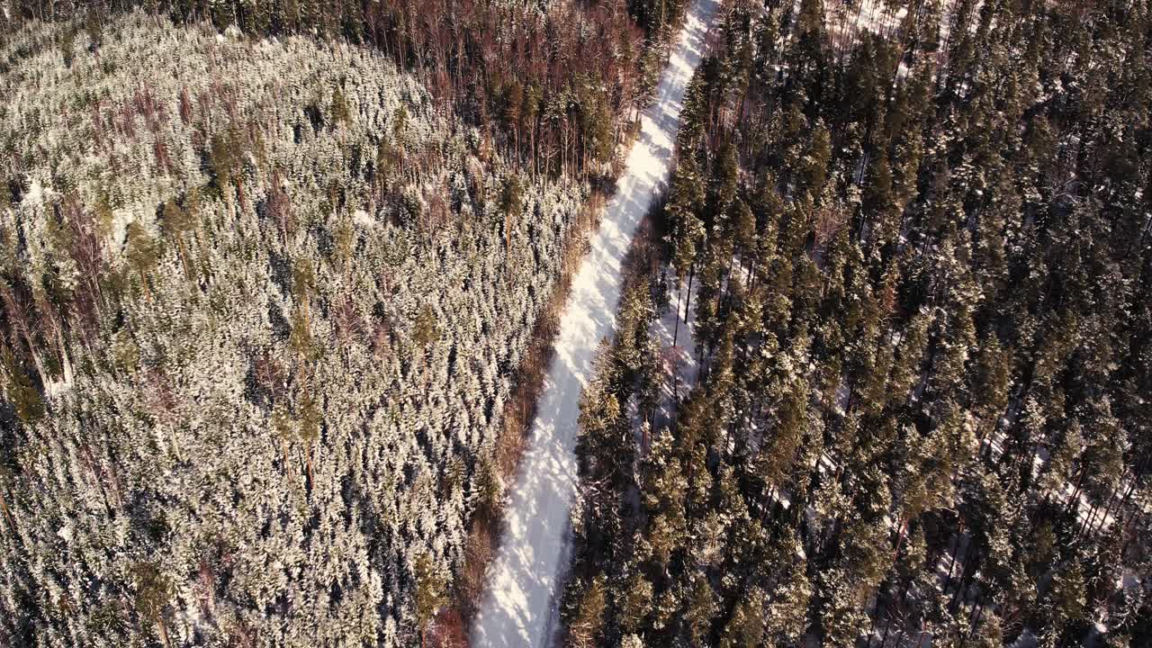 Aerial view of a drone flying over a forest road in winter