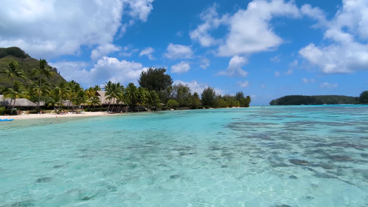 Acqua oceanica cristallina turchese della laguna sull'isola tropicale di Moorea, Polinesia Francese