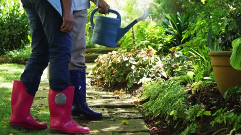 Senior-couple-watering-plants-with-watering-can-in-garden-