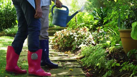 senior couple watering plants with watering can in garden