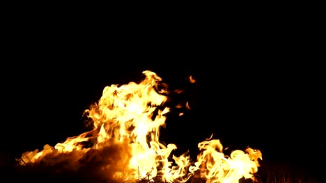 el bucle de fuego rojo, el canal alfa desde el fondo negro.