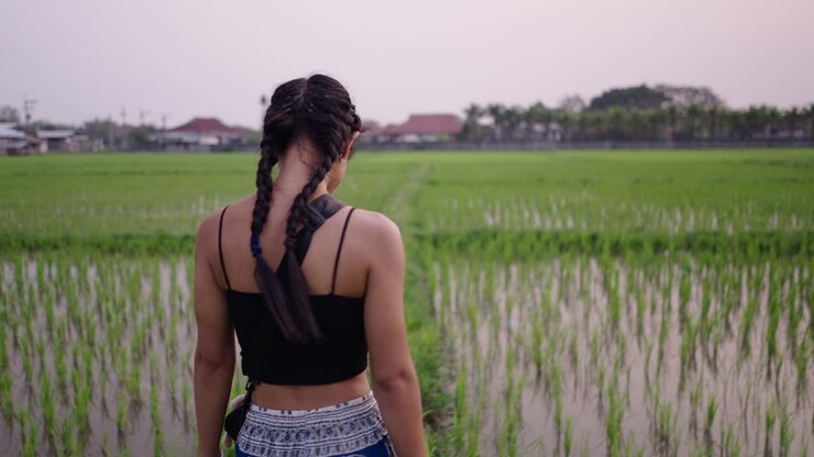 Young woman enjoying a walk in a lush green rice field