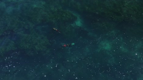 toma aérea de la línea de surf de la jolla mientras un dron vuela sobre los buzos