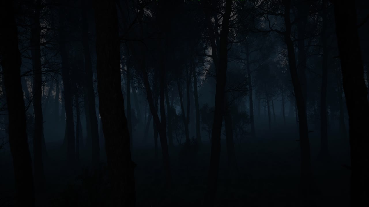 Dark and Mysterious Foggy Forest at Night