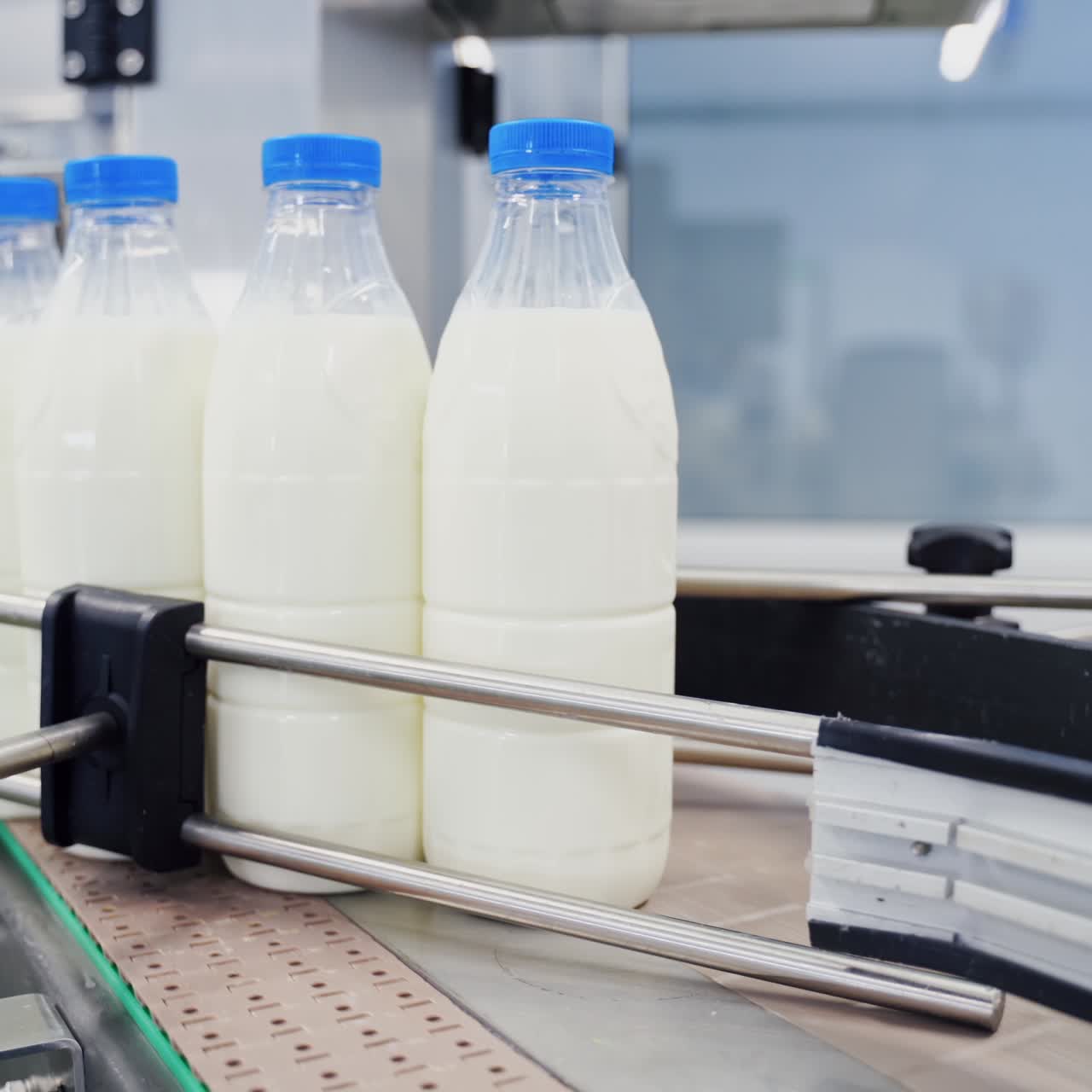 Milk production at factory