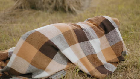 close-up of playful dog wrapped in checkered blanket struggling to break free, paws and tail visible as it moves on grassy field, lighthearted moment in rustic countryside