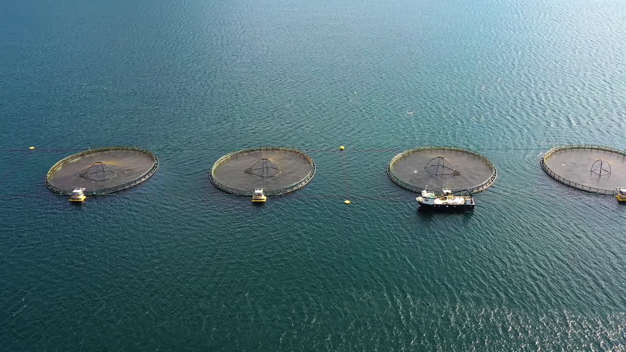 노르웨이에서 연어  ⁇ 시를 하는 공중 촬영