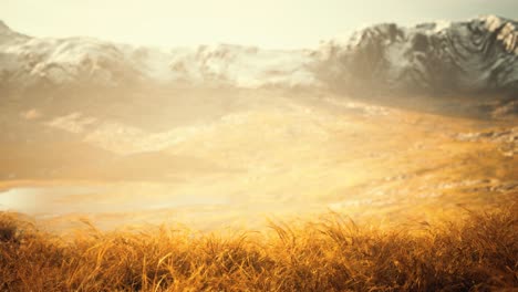 dry grass and snow covered mountains in alaska
