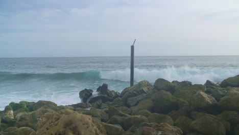 vistas pacíficas del océano del sur de bali: olas y horizontes