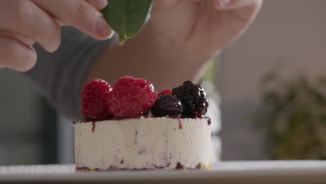 presentation of ice cream cake with berries