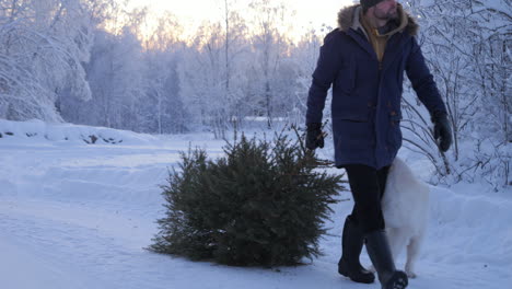 man drags a christmas tree through a snowy field with a dog