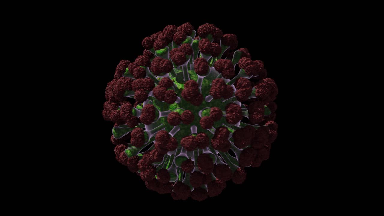 rotación de partículas de virus individuales