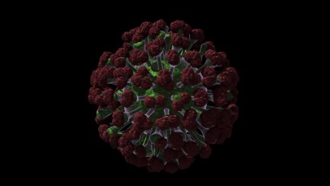 single virus particle rotating