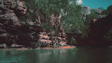 Río-Colorado-Con-Hermosas-Paredes-De-Arenisca-Y-Cañones