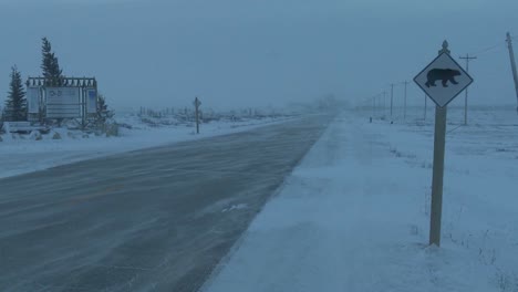 Schnee-Weht-über-Eine-Straße-Mit-Einem-Eisbärenschild-Während-Eines-Schneesturms