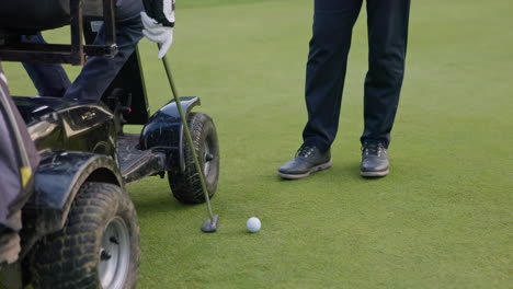 people on a golf course