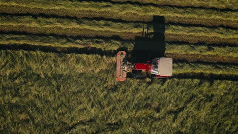 an ihc tractor cutting grass in golden sunlight, aerial view