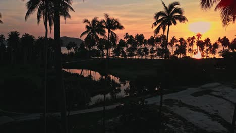 Dream-like-sunset-in-background-of-dark-palm-trees-on-Ko-Samui,-Thailand