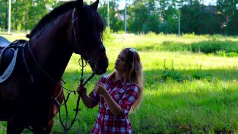 young blonde woman in a plaid shirt takes a walk with his horse. summer sunny evening.