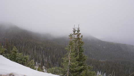 timelapse of a winter storm over a mountain top with pine tree forest