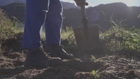 digging-on-the-farm-with-spade