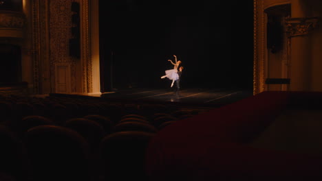 ballet performance in a theatre