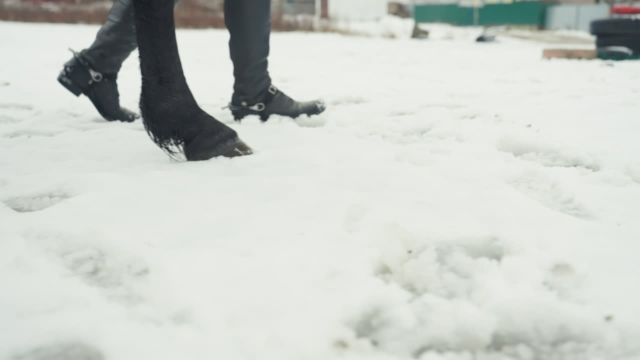 Huellas de cascos equinos en terreno cubierto de escarcha. Los cascos de caballo dejan marcas distintivas en la fría superficie invernal de la nieve. Se pueden ver huellas de cascos a través del paisaje invernal helado y nevado