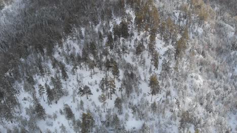 Flying-Towards-Mountain-Forest-Covered-With-Snow-During-Winter