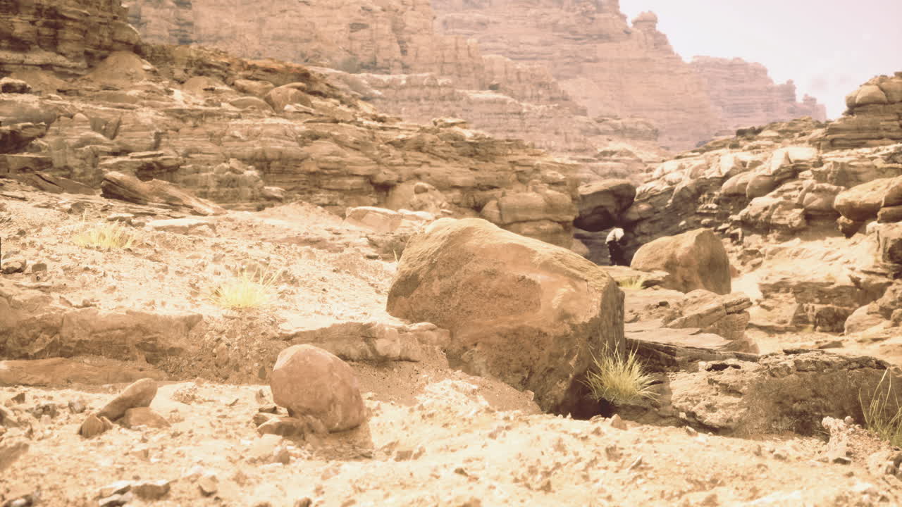 Exploring ancient rock formations in a desert landscape during daylight