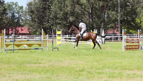 horse and rider jumping over obstacles in arena