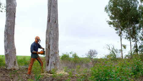 leñador con motosierra cortando el tronco del árbol 4k