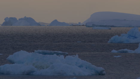 iceberg and icefield