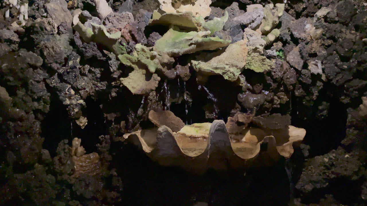 조개 모양의 돌에 고인 인공 동굴 내부의 물 기능 샷