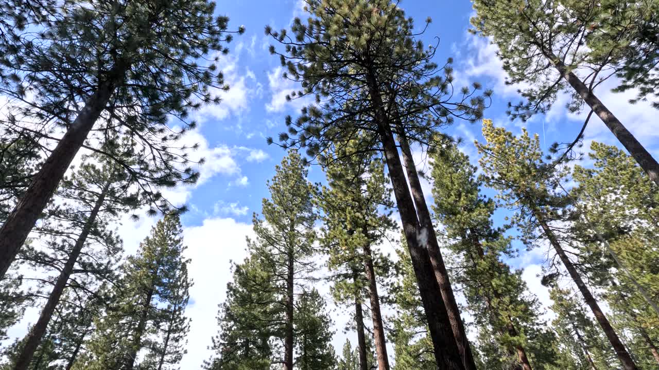 지구의 날 자연 배경