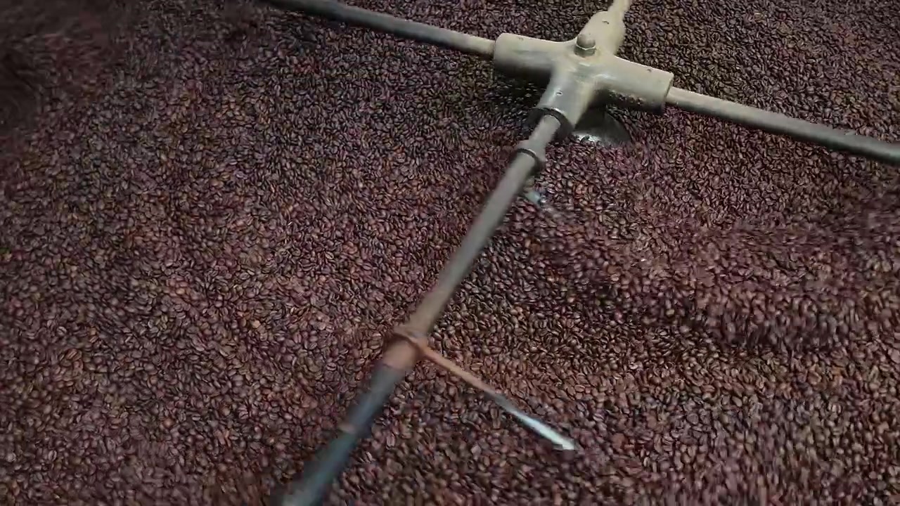 Close-up of coffee beans cooling after roasting, mixing them on a special machine