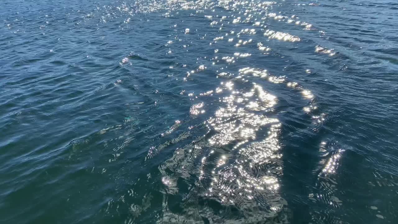 물에 반사된 태양, 화창한 날 잔물결이 있는 빠르게 흐르는 강을 클로즈업