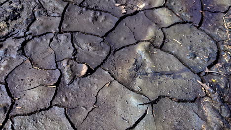 dry soil cracking. dry earth with cracks