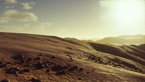 beautiful sand dunes in the sahara desert at sunset