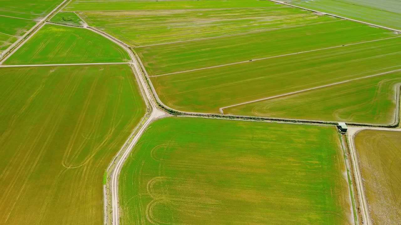 Aerial top view of rice paddies divided by irrigation roads in Ebro Delta, Spain. Agricultural landscape with flooded fields, geometric patterns.
