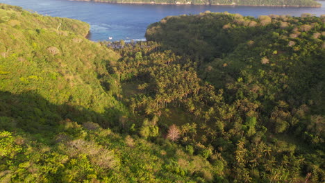 distant aerial view of gamat bay beach in nusa penida of bali indonesia