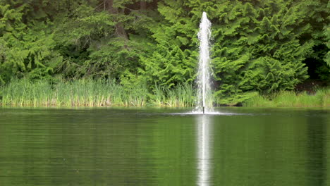 water fountain flowing in small rural pond