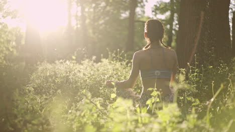 woman meditating in nature