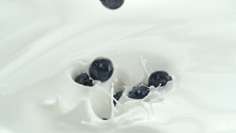 blueberries falling into creamy milk making splash in macro and slow motion