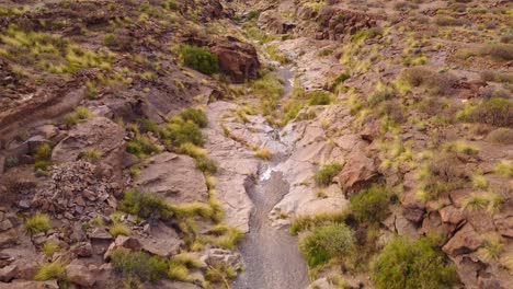 Belleza-Escondida-Del-Arco-De-Tajao-Tenerife,-Paisaje-De-Cauce-Seco