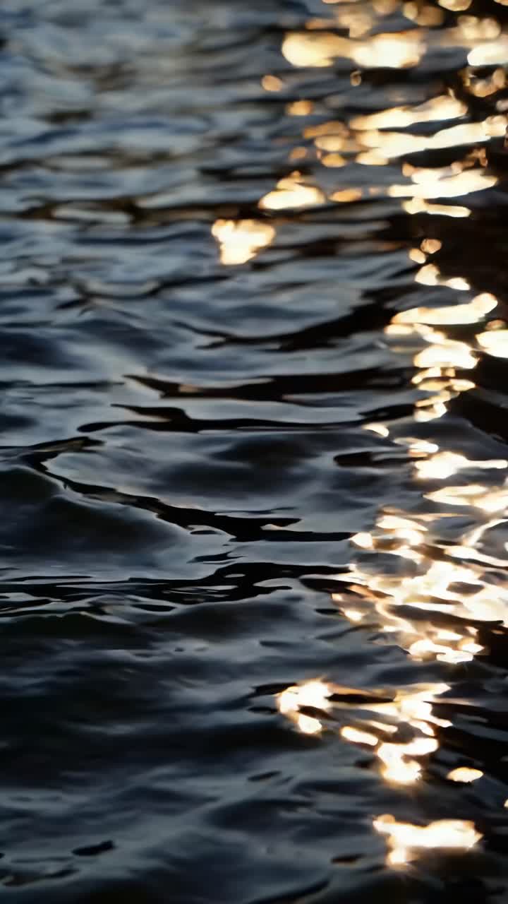 Close-up video of sunlight reflecting on rippling water, captured from a low angle