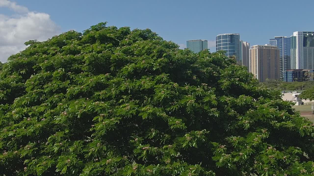 Rising view revealing Ala Moana beach in slow motion on a sunny day