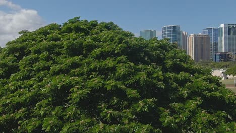 rising view revealing ala moana beach in slow motion on a sunny day