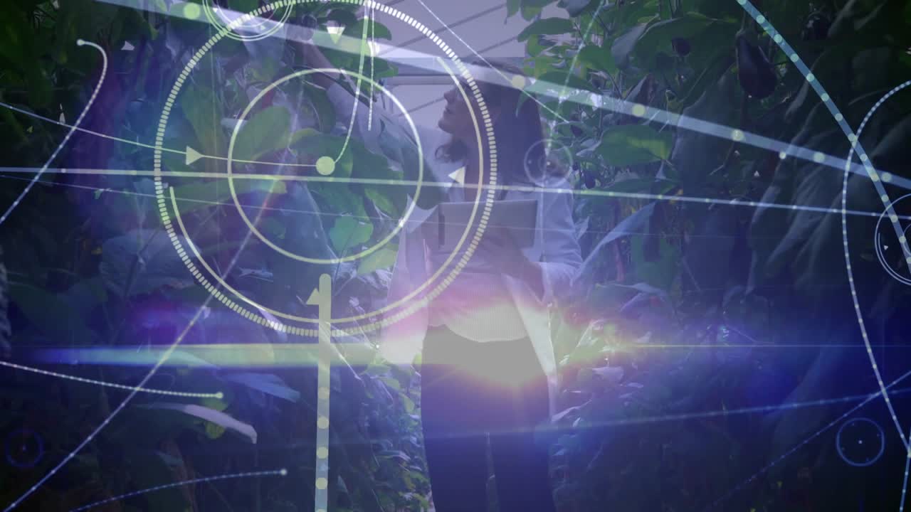 woman scanning tablet and activating data visuals around nursery plants for monitoring growth